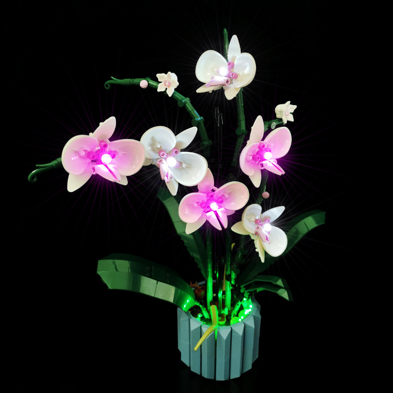 Light Kit For Orchid 10311
