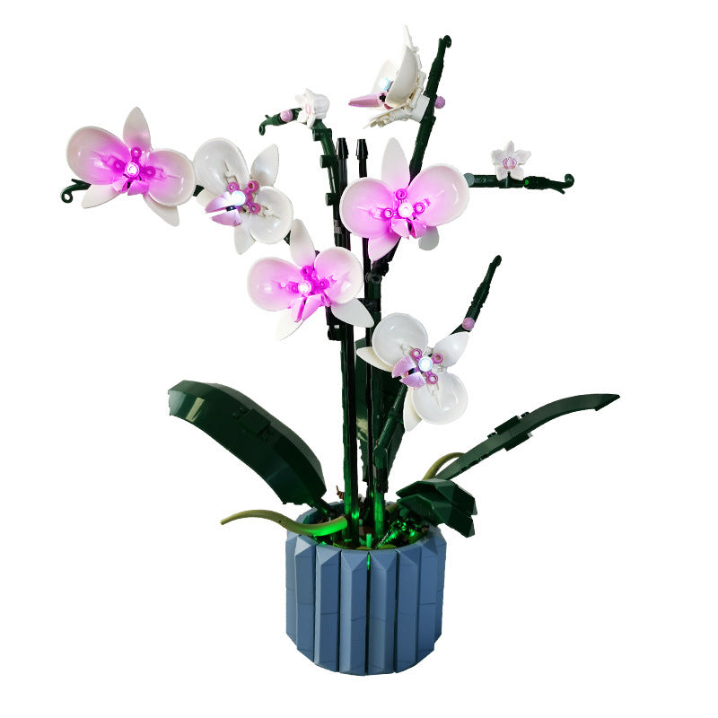 Light Kit For Orchid 10311