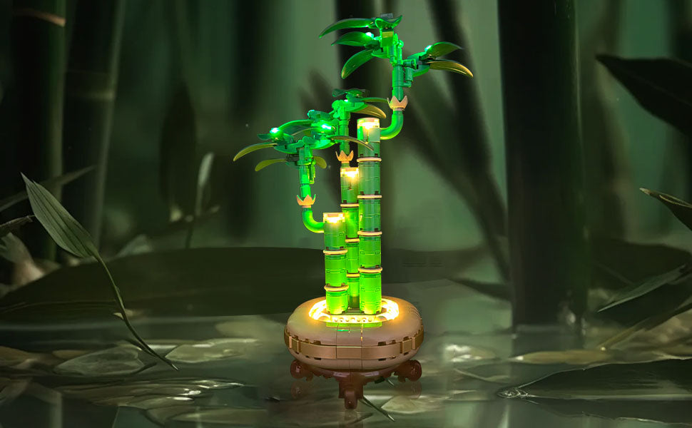 Light Kit For Lucky Bamboo 10344