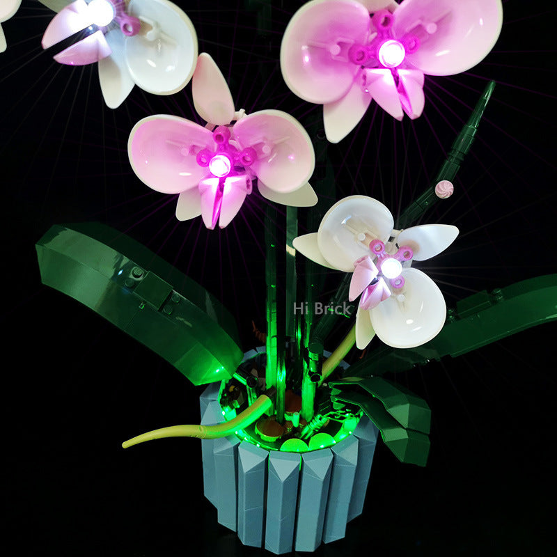 Light Kit For Orchid 10311